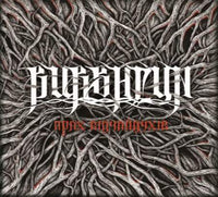 Burshtyn "Прах відчайдухів" LP